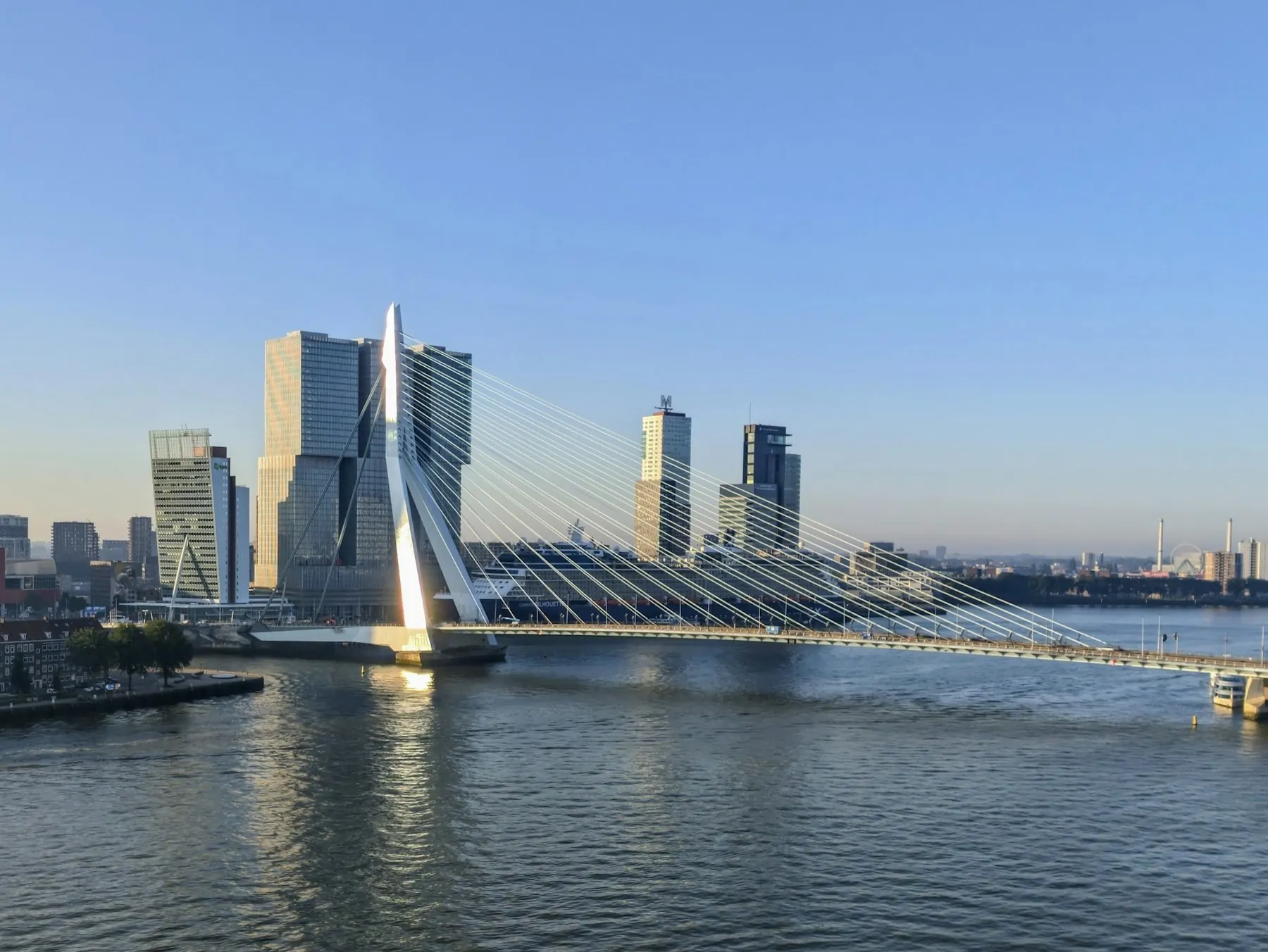 Erasmus bridge and skyline in Rotterdam